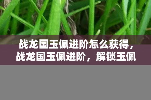 战龙国玉佩进阶怎么获得，战龙国玉佩进阶，解锁玉佩潜能，提升角色实力