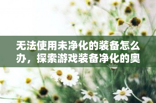 无法使用未净化的装备怎么办，探索游戏装备净化的奥秘，提升战力与保持平衡的双重挑战