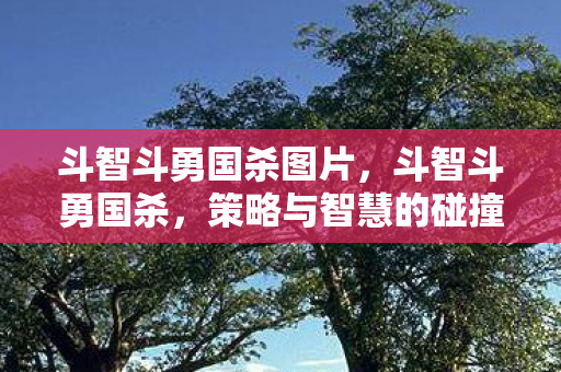斗智斗勇国杀图片，斗智斗勇国杀，策略与智慧的碰撞
