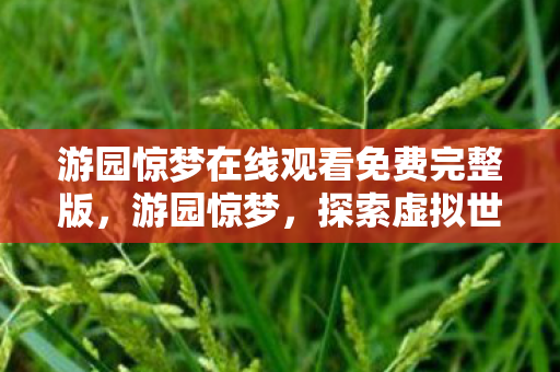 游园惊梦在线观看免费完整版，游园惊梦，探索虚拟世界的无限可能