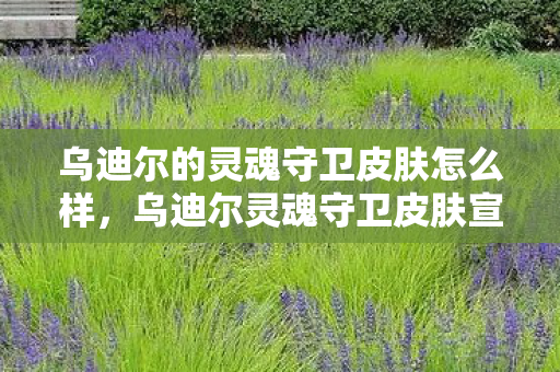 乌迪尔的灵魂守卫皮肤怎么样,乌迪尔灵魂守卫皮肤宣传,守护之力,重塑荣耀 乌迪尔的灵魂守卫皮肤怎么样,乌迪尔灵魂守卫皮肤宣传,守护之力,重塑荣耀
