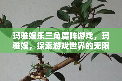 玛雅娱乐三角魔阵游戏,玛雅娱,探索游戏世界的无限可能 玛雅娱乐三角魔阵游戏,玛雅娱,探索游戏世界的无限可能
