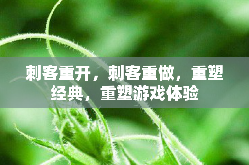 刺客重开，刺客重做，重塑经典，重塑游戏体验