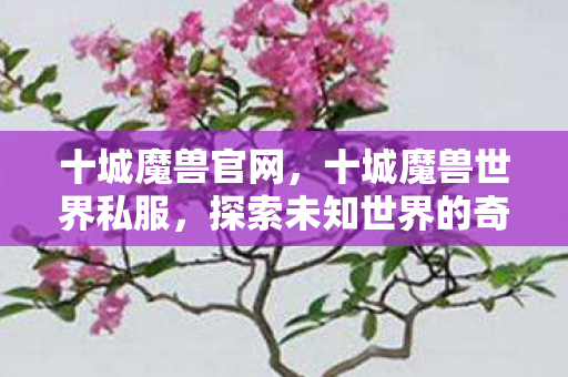 十城魔兽官网,十城魔兽世界私服,探索未知世界的奇幻之旅 十城魔兽官网,十城魔兽世界私服,探索未知世界的奇幻之旅
