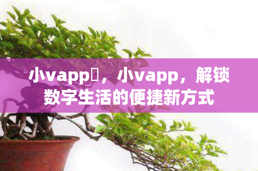小vapp汅,小vapp,解锁数字生活的便捷新方式 小vapp汅,小vapp,解锁数字生活的便捷新方式