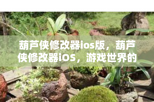 葫芦侠修改器ios版，葫芦侠修改器iOS，游戏世界的自由探索者