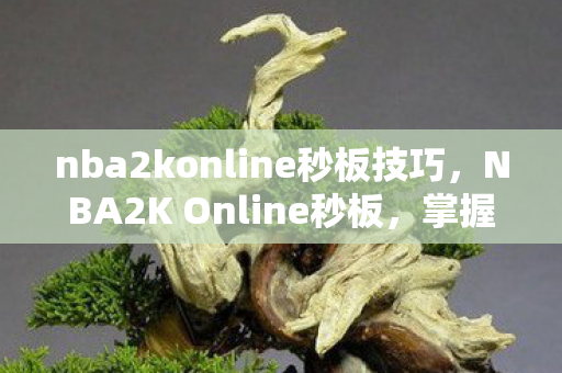 nba2konline秒板技巧,NBA2K Online秒板,掌握技巧,提升游戏水平 nba2konline秒板技巧,NBA2K Online秒板,掌握技巧,提升游戏水平
