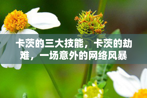 卡茨的三大技能,卡茨的劫难,一场意外的网络风暴 卡茨的三大技能,卡茨的劫难,一场意外的网络风暴