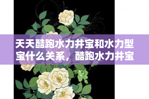 天天酷跑水力井宝和水力型宝什么关系，酷跑水力井宝，探索未知世界的冒险之旅