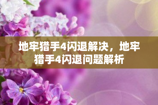 地牢猎手4闪退解决,地牢猎手4闪退问题解析 地牢猎手4闪退解决,地牢猎手4闪退问题解析