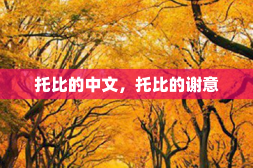 托比的中文，托比的谢意