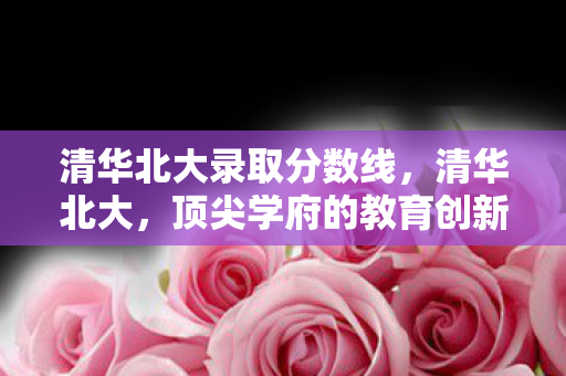清华北大录取分数线，清华北大，顶尖学府的教育创新与挑战