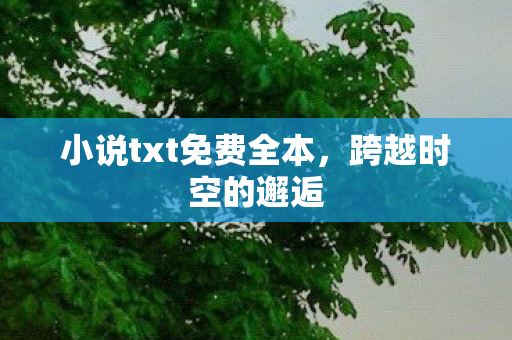 小说txt免费全本,跨越时空的邂逅 小说txt免费全本,跨越时空的邂逅
