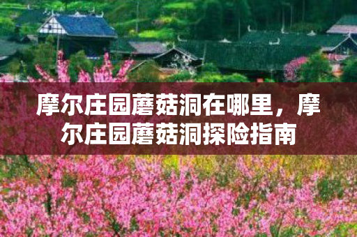 摩尔庄园蘑菇洞在哪里,摩尔庄园蘑菇洞探险指南 摩尔庄园蘑菇洞在哪里,摩尔庄园蘑菇洞探险指南