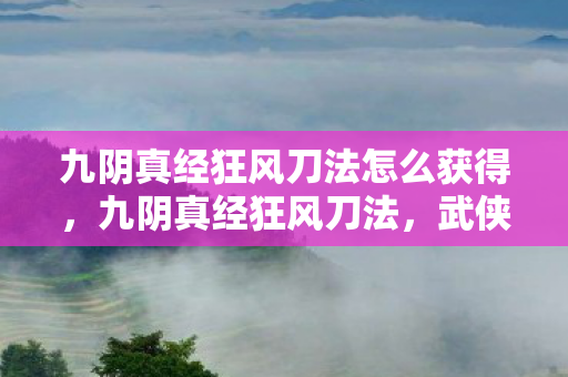 九阴真经狂风刀法怎么获得，九阴真经狂风刀法，武侠世界中的绝世刀法