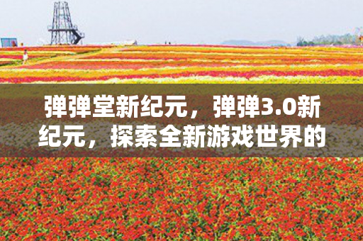 弹弹堂新纪元，弹弹3.0新纪元，探索全新游戏世界的无限可能