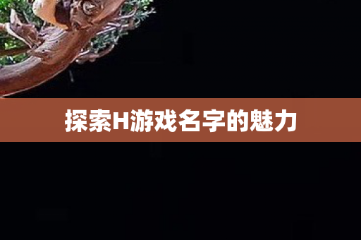 探索H游戏名字的魅力 探索H游戏名字的魅力