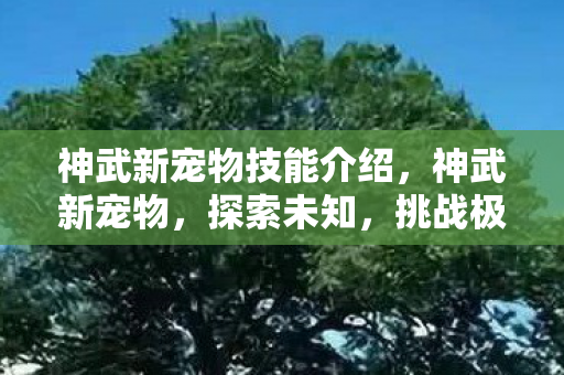神武新宠物技能介绍,神武新宠物,探索未知,挑战极限 神武新宠物技能介绍,神武新宠物,探索未知,挑战极限