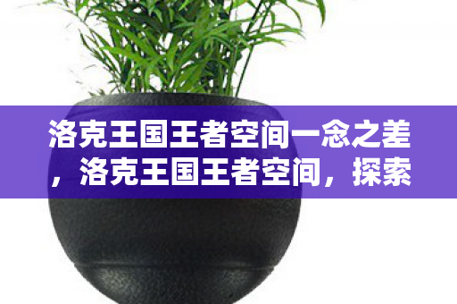 洛克王国王者空间一念之差，洛克王国王者空间，探索王国奥秘，领略无限可能
