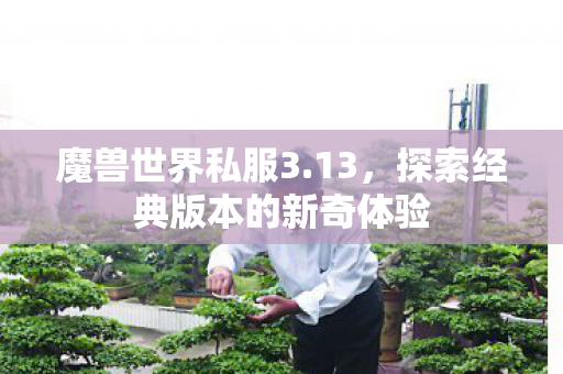 魔兽世界私服3.13，探索经典版本的新奇体验