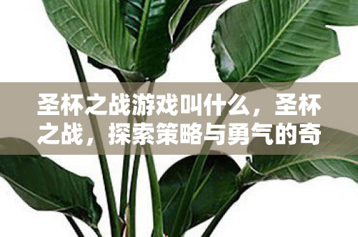 圣杯之战游戏叫什么,圣杯之战,探索策略与勇气的奇幻之旅 圣杯之战游戏叫什么,圣杯之战,探索策略与勇气的奇幻之旅