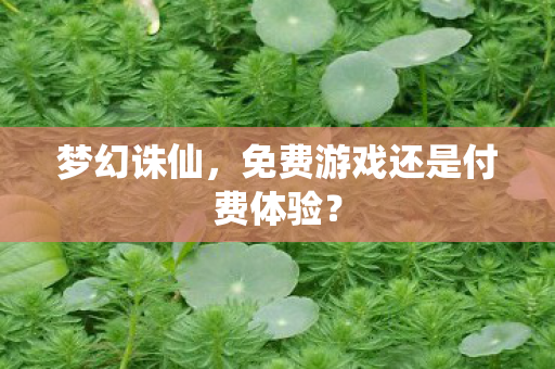 梦幻诛仙,免费游戏还是付费体验? 梦幻诛仙,免费游戏还是付费体验?