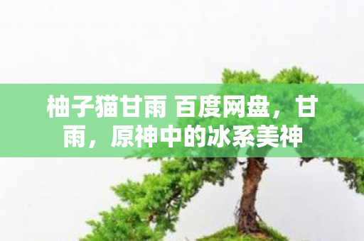 柚子猫甘雨 百度网盘，甘雨，原神中的冰系美神