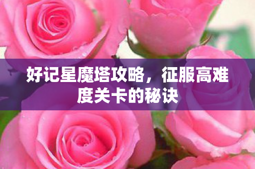 好记星魔塔攻略,征服高难度关卡的秘诀 好记星魔塔攻略,征服高难度关卡的秘诀