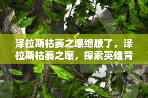 泽拉斯枯萎之壤绝版了，泽拉斯枯萎之壤，探索英雄背后的故事与游戏设计