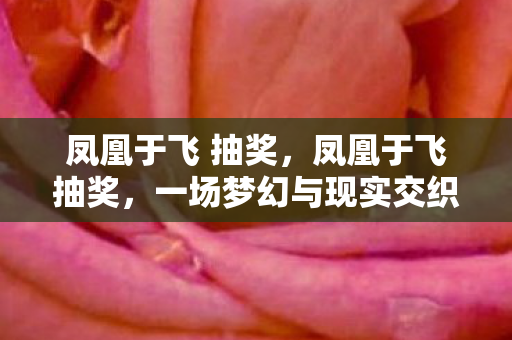 凤凰于飞 抽奖,凤凰于飞抽奖,一场梦幻与现实交织的盛宴 凤凰于飞 抽奖,凤凰于飞抽奖,一场梦幻与现实交织的盛宴