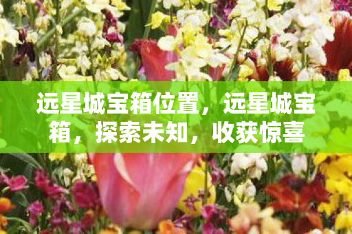 远星城宝箱位置，远星城宝箱，探索未知，收获惊喜