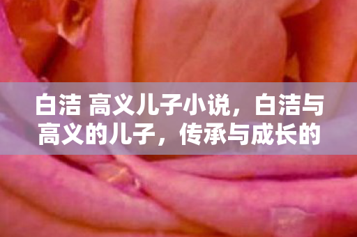 白洁 高义儿子小说，白洁与高义的儿子，传承与成长的故事