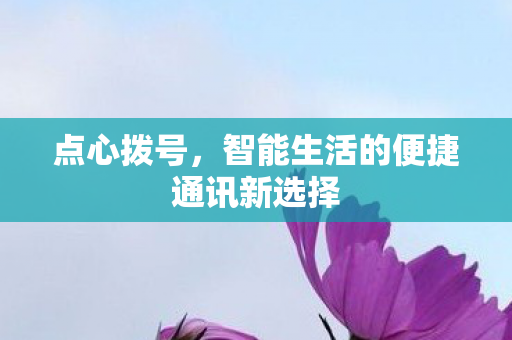 点心拨号,智能生活的便捷通讯新选择 点心拨号,智能生活的便捷通讯新选择