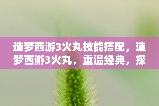 造梦西游3火丸技能搭配，造梦西游3火丸，重温经典，探索未知