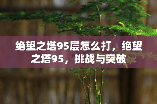 绝望之塔95层怎么打，绝望之塔95，挑战与突破