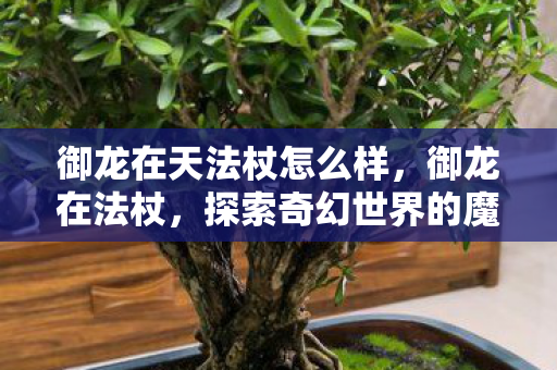 御龙在天法杖怎么样，御龙在法杖，探索奇幻世界的魔法之旅