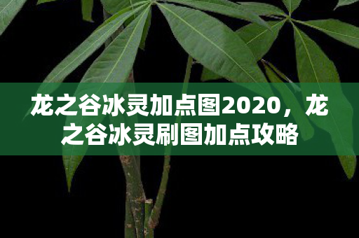 龙之谷冰灵加点图2020,龙之谷冰灵刷图加点攻略 龙之谷冰灵加点图2020,龙之谷冰灵刷图加点攻略