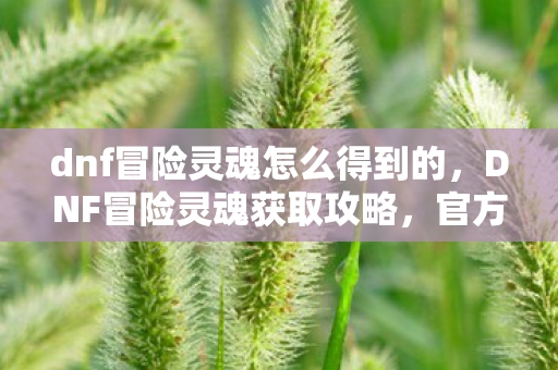 dnf冒险灵魂怎么得到的，DNF冒险灵魂获取攻略，官方途径全解析