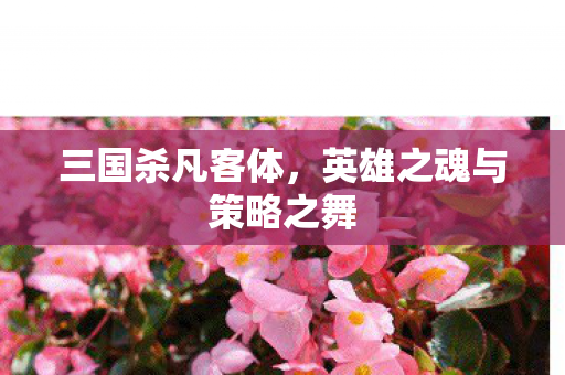 三国杀凡客体,英雄之魂与策略之舞 三国杀凡客体,英雄之魂与策略之舞
