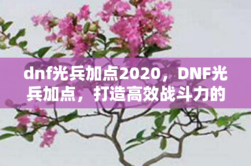 dnf光兵加点2020,DNF光兵加点,打造高效战斗力的关键 dnf光兵加点2020,DNF光兵加点,打造高效战斗力的关键