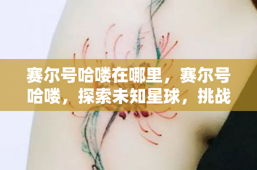 赛尔号哈喽在哪里，赛尔号哈喽，探索未知星球，挑战无限可能