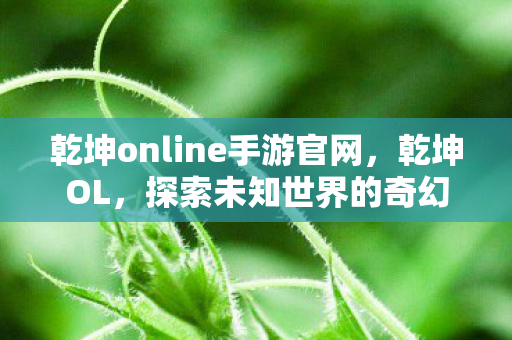 乾坤online手游官网，乾坤OL，探索未知世界的奇幻之旅