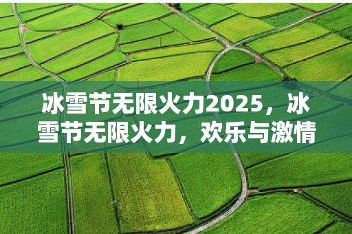 冰雪节无限火力2025，冰雪节无限火力，欢乐与激情的冬日盛宴