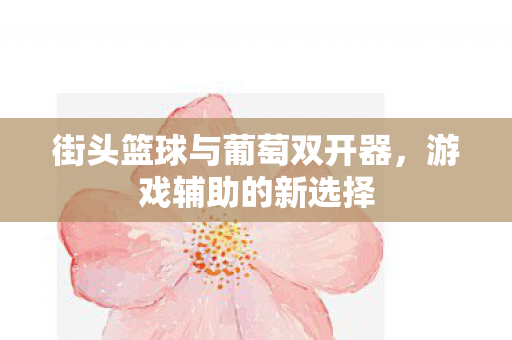 街头篮球与葡萄双开器,游戏辅助的新选择 街头篮球与葡萄双开器,游戏辅助的新选择