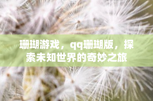 珊瑚游戏，qq珊瑚版，探索未知世界的奇妙之旅