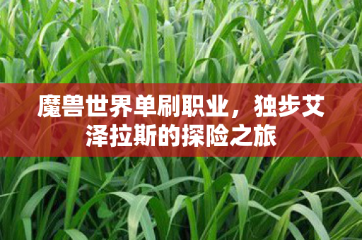 魔兽世界单刷职业,独步艾泽拉斯的探险之旅 魔兽世界单刷职业,独步艾泽拉斯的探险之旅