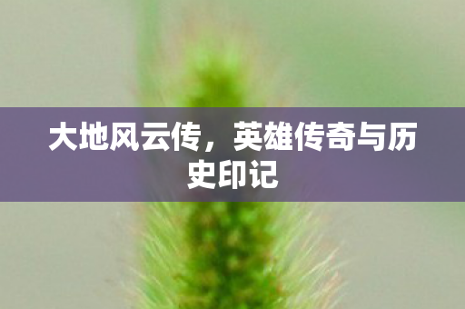 大地风云传,英雄传奇与历史印记 大地风云传,英雄传奇与历史印记