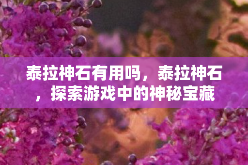 泰拉神石有用吗,泰拉神石,探索游戏中的神秘宝藏 泰拉神石有用吗,泰拉神石,探索游戏中的神秘宝藏