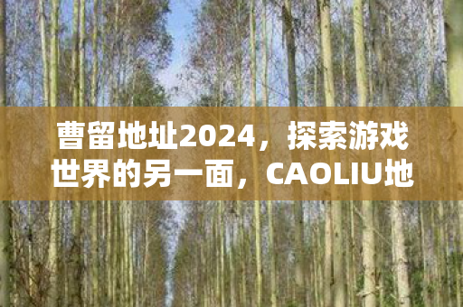 曹留地址2024，探索游戏世界的另一面，CAOLIU地址的奇妙之旅