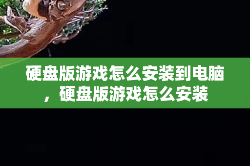 硬盘版游戏怎么安装到电脑，硬盘版游戏怎么安装